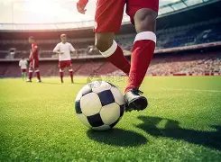 郑钦文澳网,第二轮激战,正酣,完美体育WMSports官网,WMSports完美体育娱乐,完美体育投注,完美体育平台,完美体育赛事直播,完美体育app下载