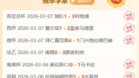 东契奇力赞里夫斯：非凡之才，一登场即能逆转战局